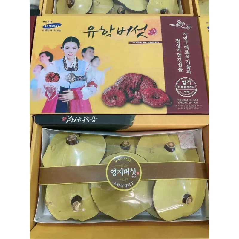 Nấm Linh Chi Cô Gái Hàn Quốc Geumsang hộp 1kg tại Mai Korea - ảnh 4