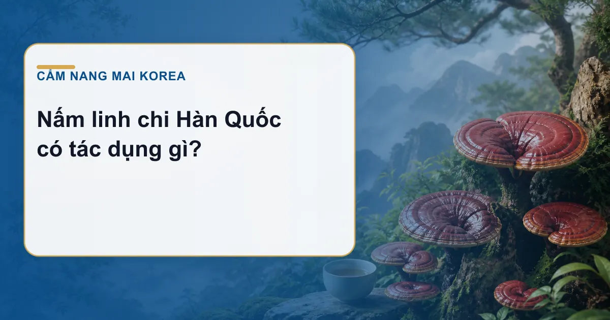 Nấm linh chi Hàn Quốc có tác dụng gì